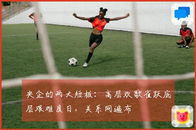 央企的两大短板：高层欢歌雀跃底层艰难度日，关系网遍布